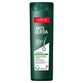 SH-CAPICILIN-ANTIQUEDA-250ML-OLEOSO