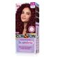 TINT-COR-TON-S-AMONIA-6.26-MARSALA