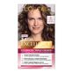 TINT-KIT-IMEDIA-LOREAL-6.0-LR-ESC